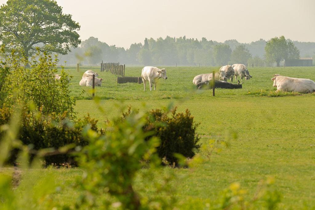 Domein Het Weiland Damme Exterior photo